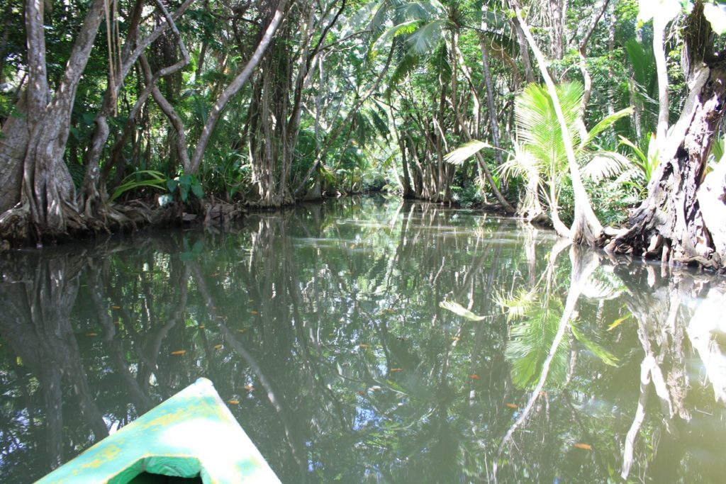 Indalo_Dominique_Guide_Indian River