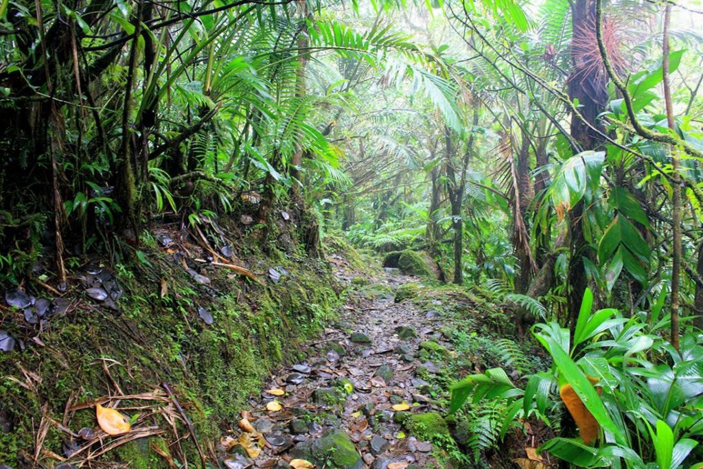 Indalo_Dominique_Guide_Sentier