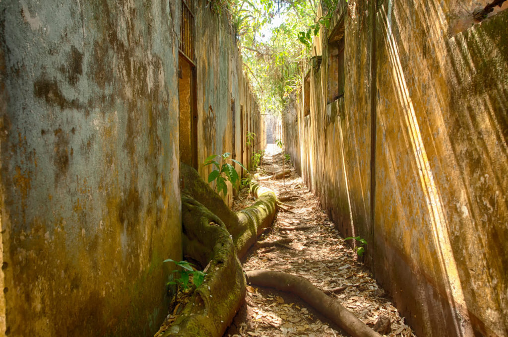 Indalo_Guyane_Guide_Iles du Salut-Ile St-Joseph