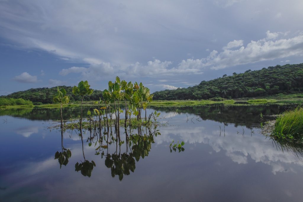 Indalo_Guyane_Guide_Kaw
