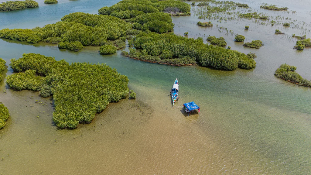 Copie de DJI_20250301145606_0039_D