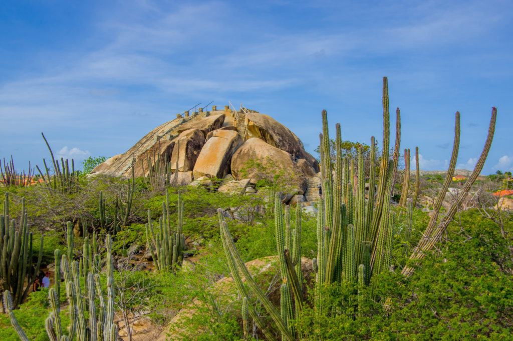 Indalo_Aruba_Guide_Casibari2