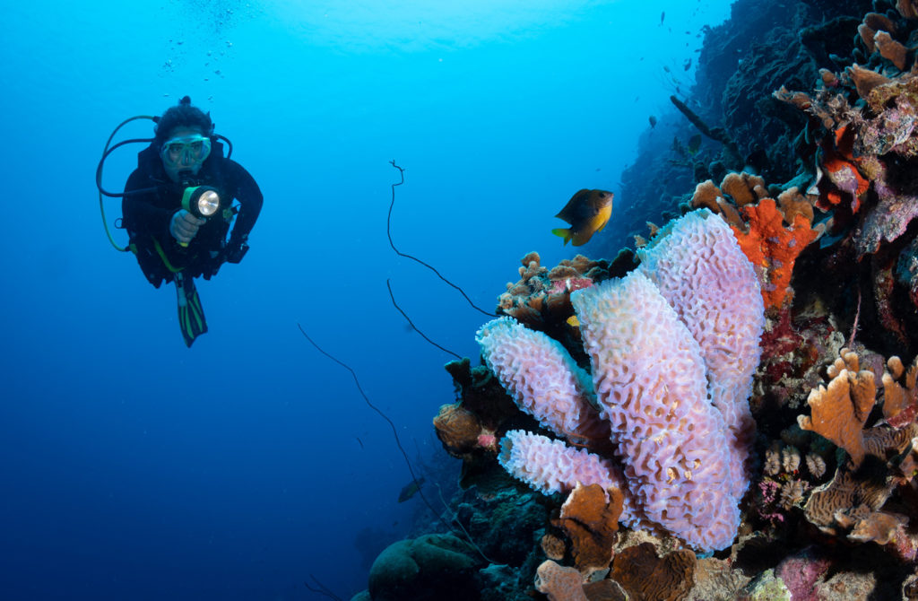 Indalo_Bonaire_Guide_Plongee2