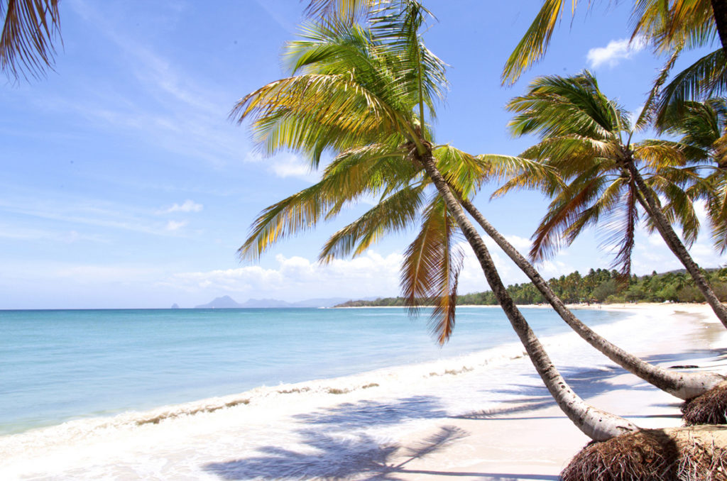 Indalo_Martinique_Guide_Grande Anse des Salines