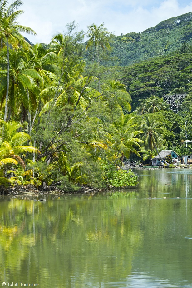 Indalo_Polynesie_Guide_Huahine-nature