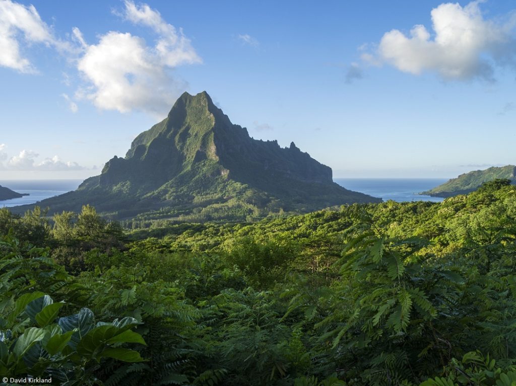 Indalo_Polynesie_Guide_Moorea-Mont-Rotui-1024x767