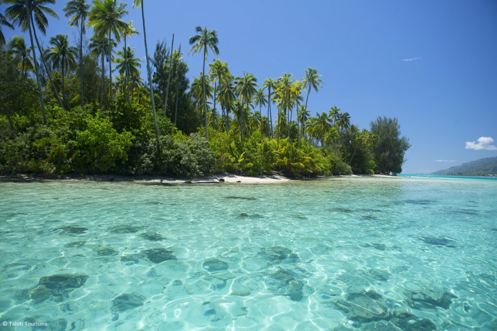 Indalo_Polynesie_Guide_Moorea-lagon-plage-1024x683