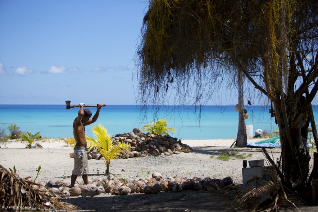 Indalo_Polynesie_Guide_Tikehau-coprah-1024x683