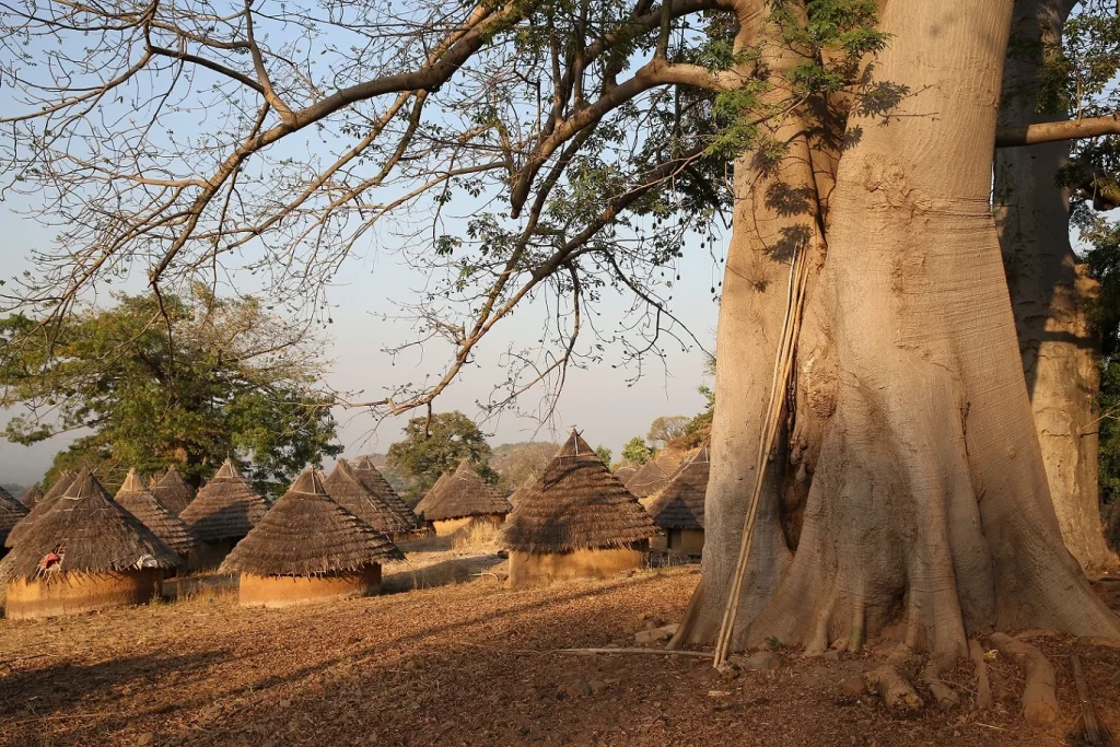 Indalo_Senegal_Guide_Kedougou