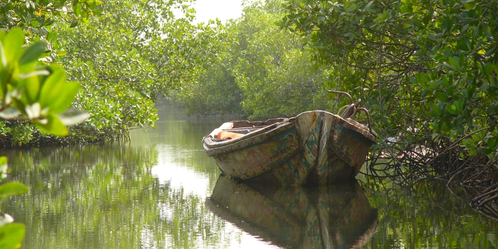 Indalo_Senegal_Guide_bolong