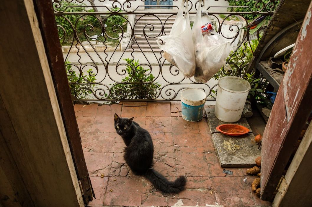 Logement