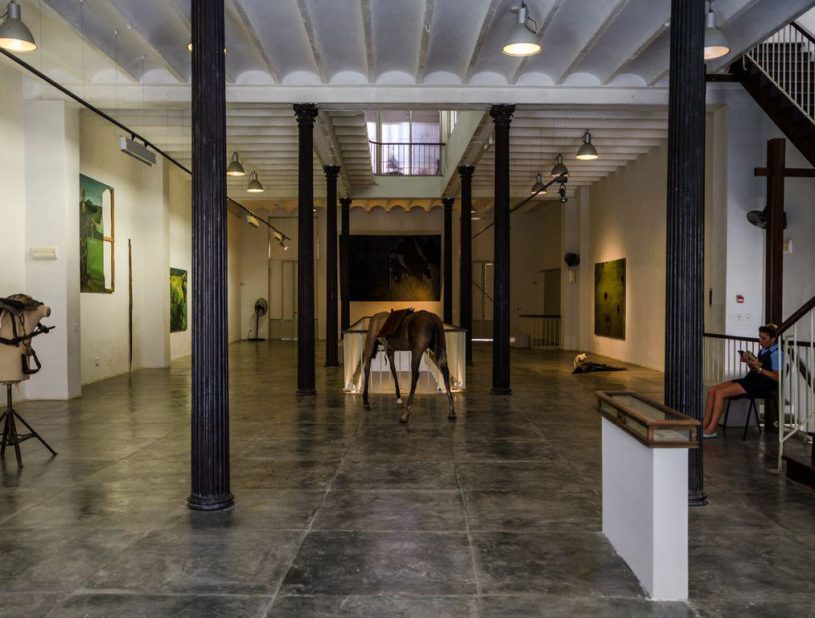 Galerie