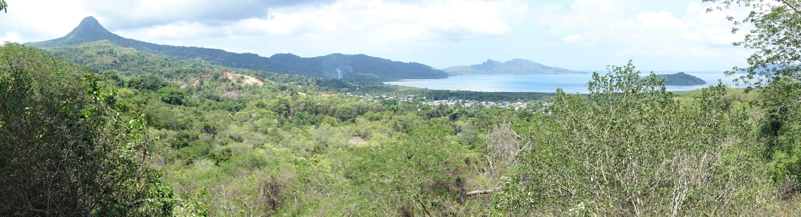 Panorama