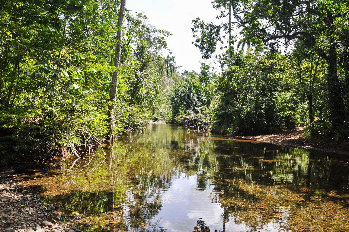 Rivière