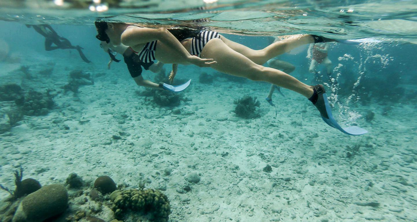 Snorkeling