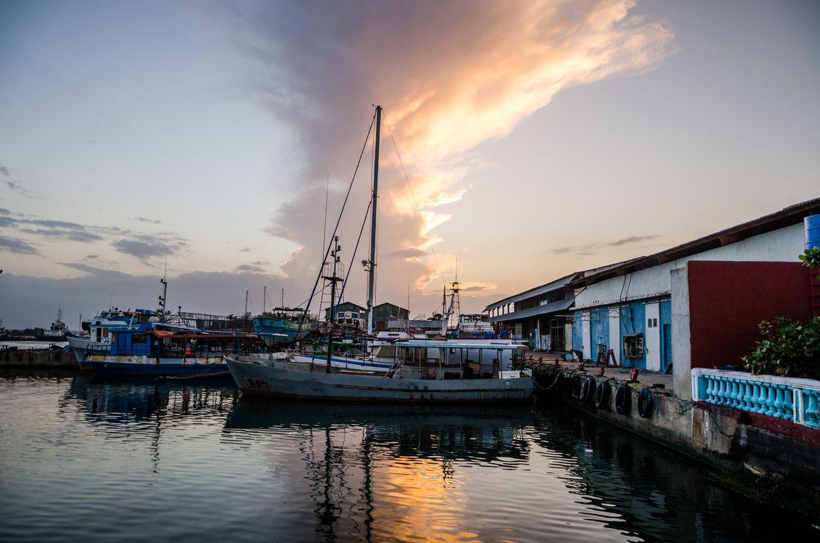 Muelle Real