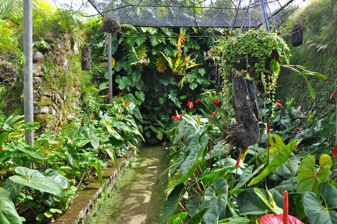Jardin El Paraiso