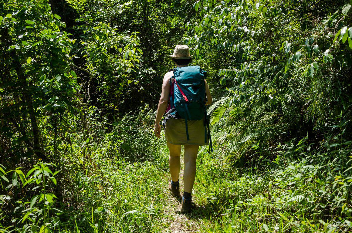 Sentier