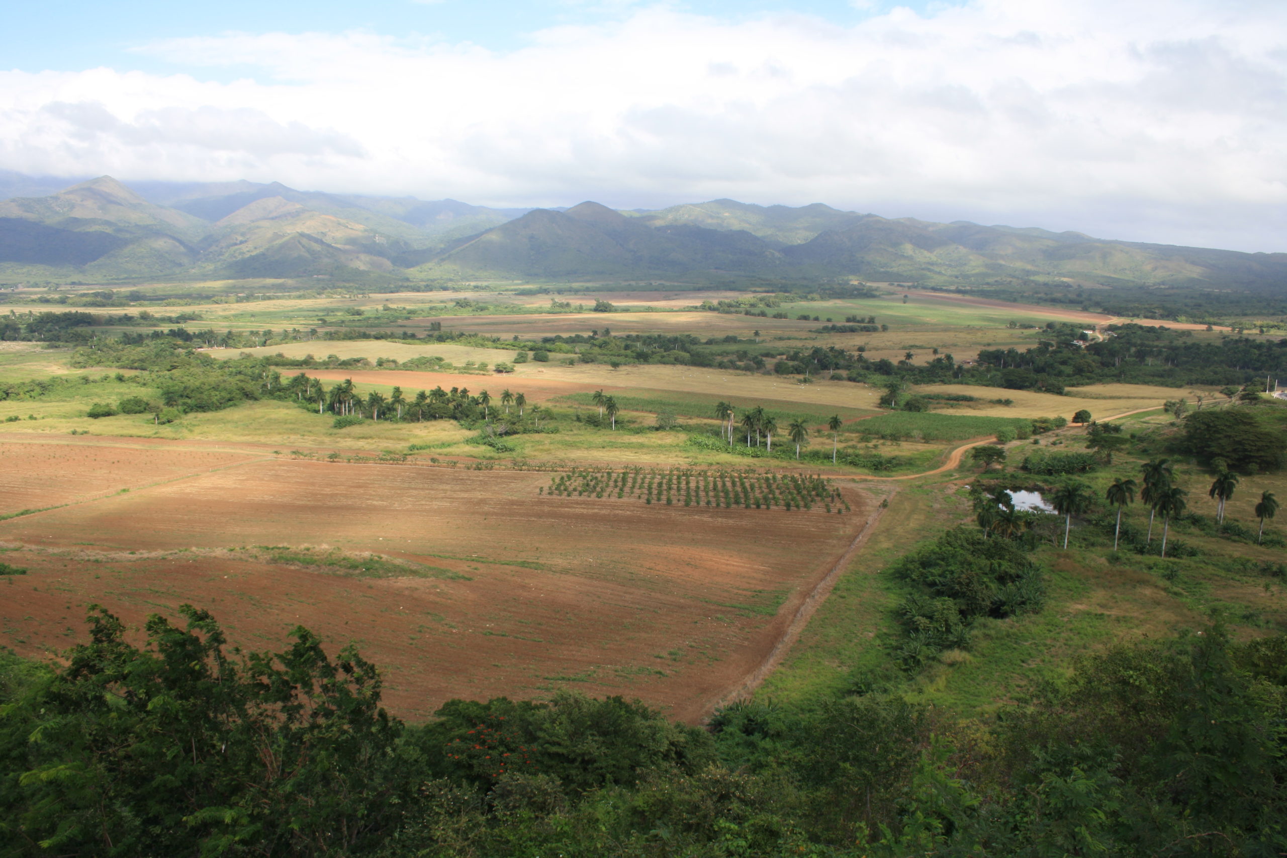 Vallée de Los Ingenios