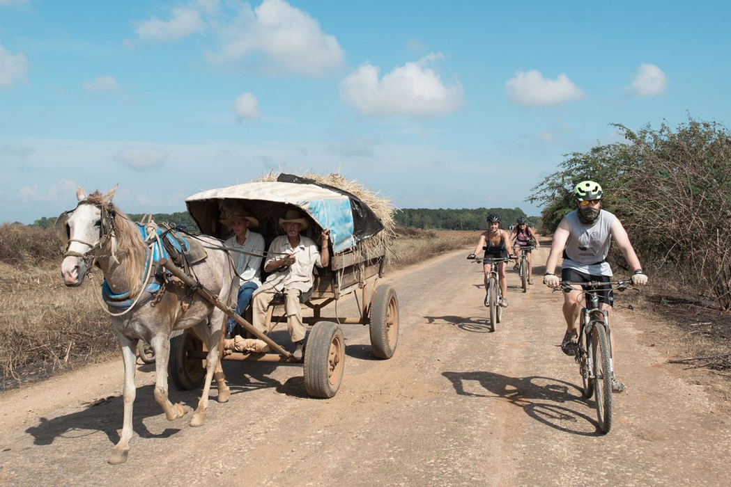 Rencontres sur la route