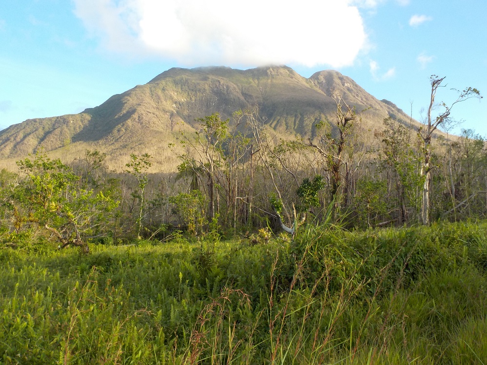 Morne Trois Pitons