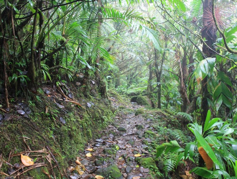 Chemin de randonnée