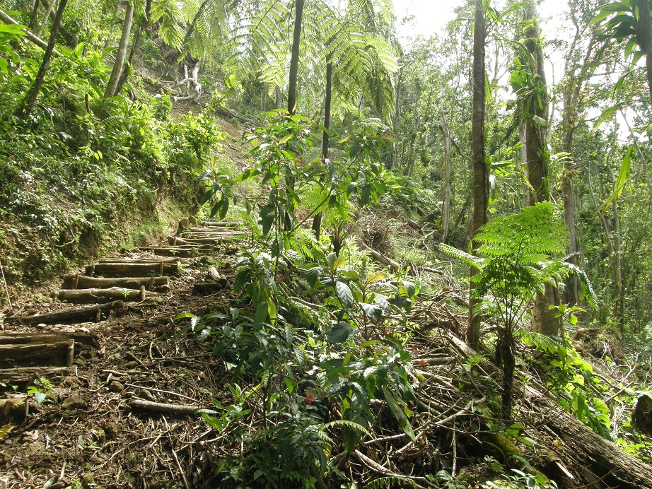 Chemin de randonnée