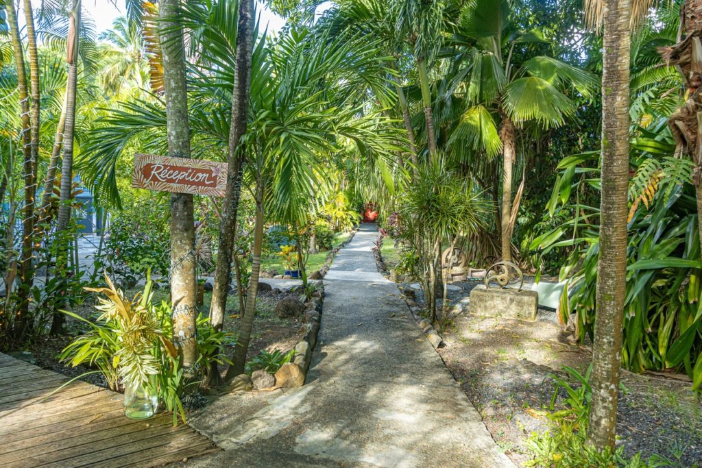 Indalo_Guadeloupe_CaraibBay_Jardin3
