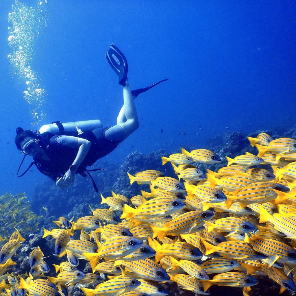 Indalo_Maldives_Barefoot_Sport-plongee