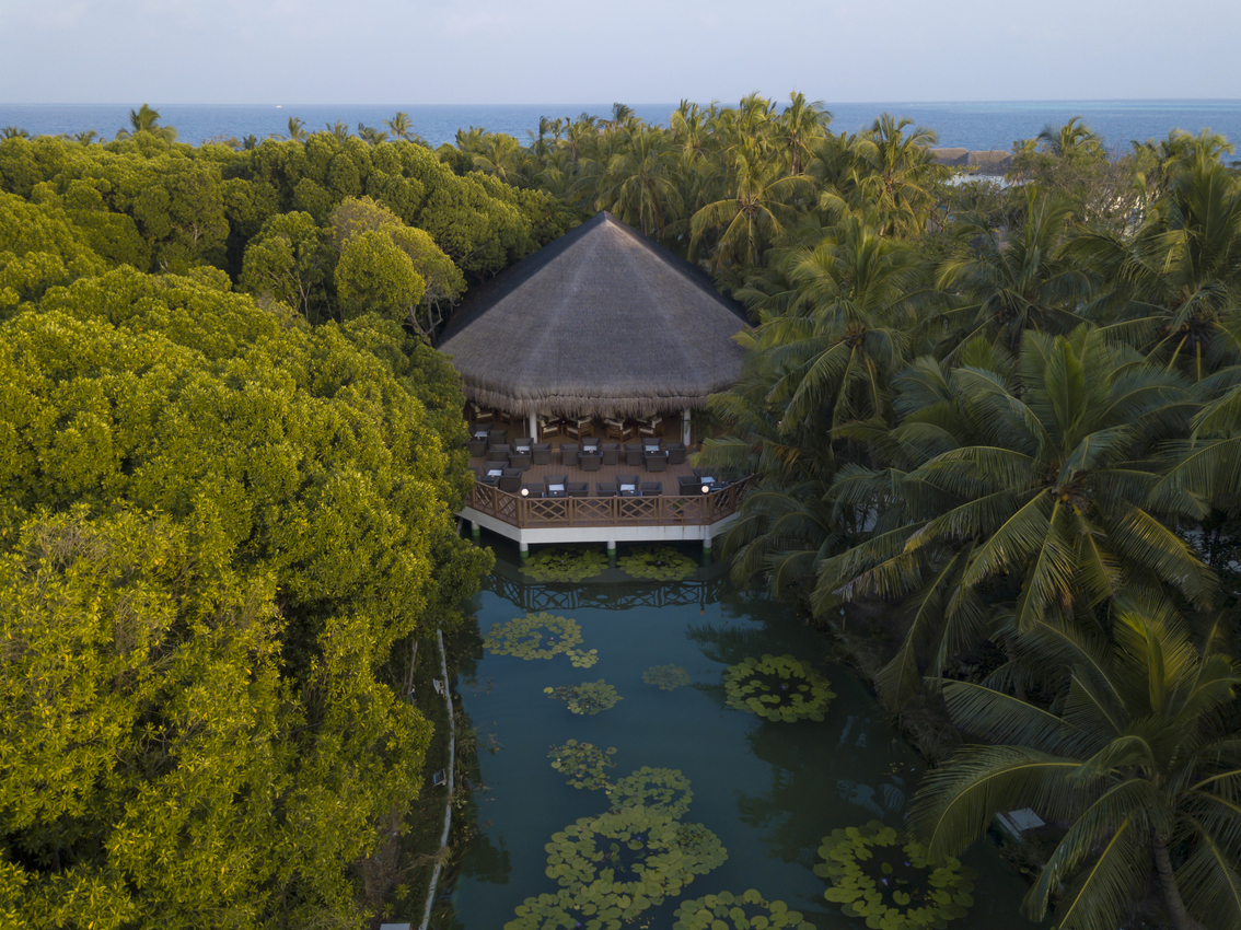 Indalo_Maldives_Dreamland_Bar