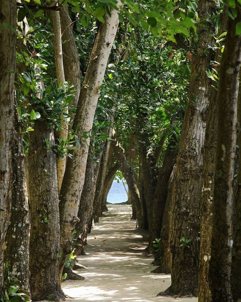 Indalo_Maldives_Embudu_Jardin