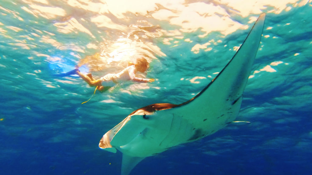 Indalo_Maldives_Kuredu_Sport-snorkeling