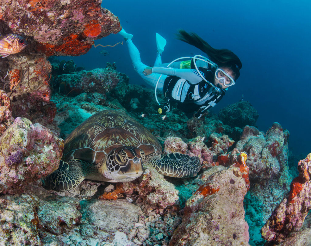 Indalo_Maldives_Meeru_Sport