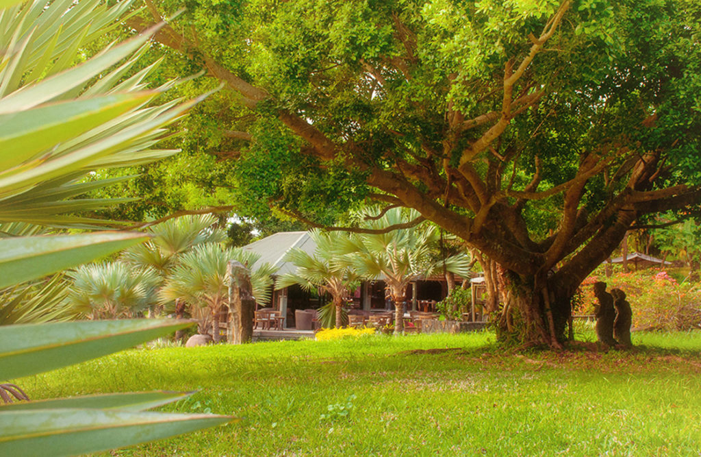 Jardin