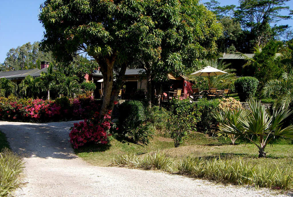 Jardin