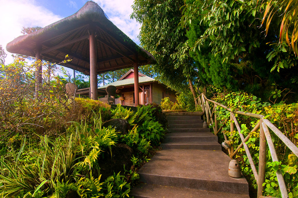 Suite « Piton Canot »