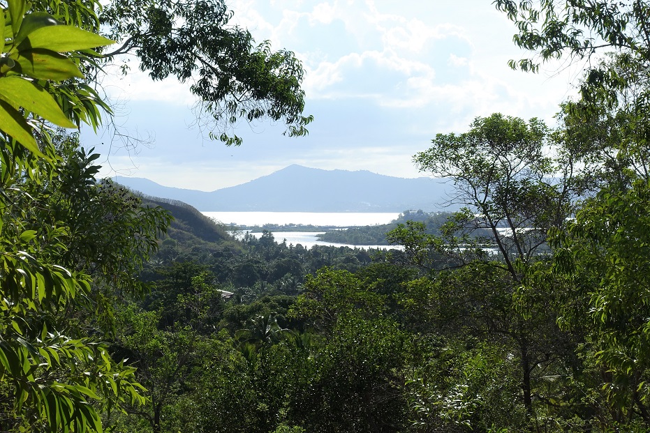 Panorama
