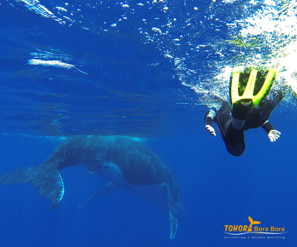 Snorkeling
