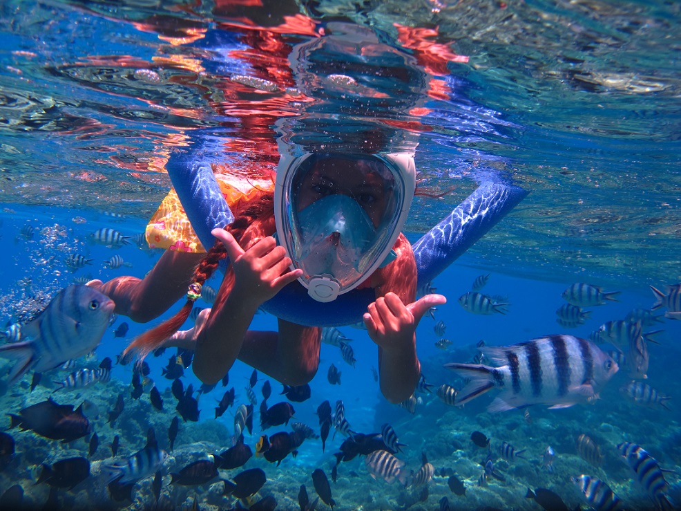 Snorkeling pour Débutants