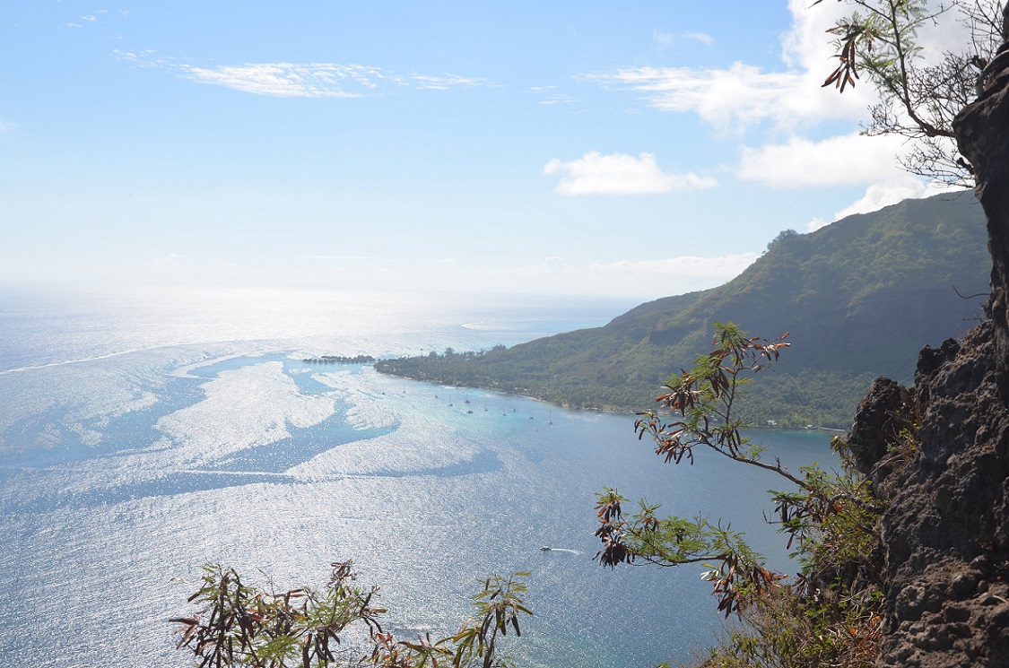 Demi-jour - panorama