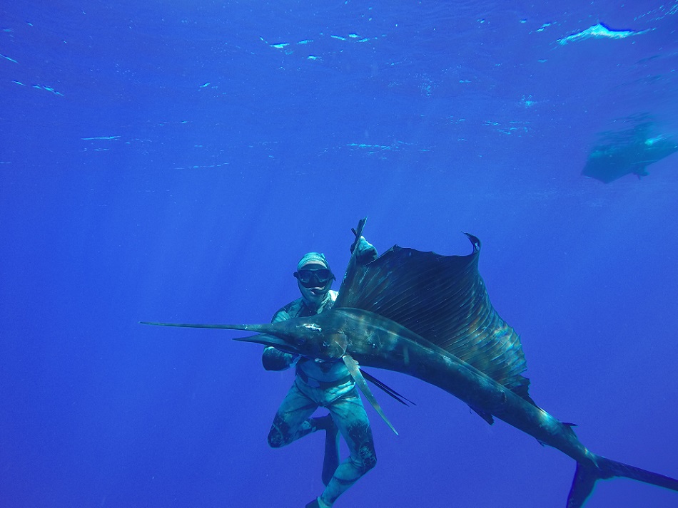 Chasse Sous-Marine