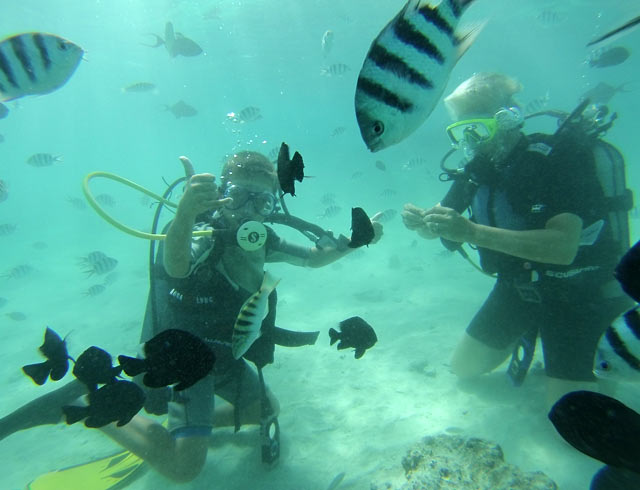 Indalo_Polynesie_Activites_Moorea_Plongee1
