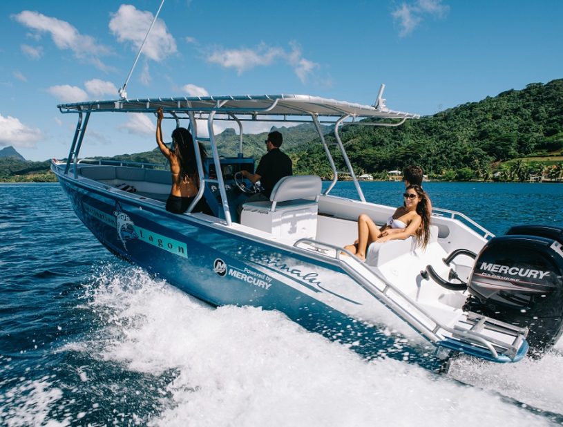Bateau à Moteur Couvert