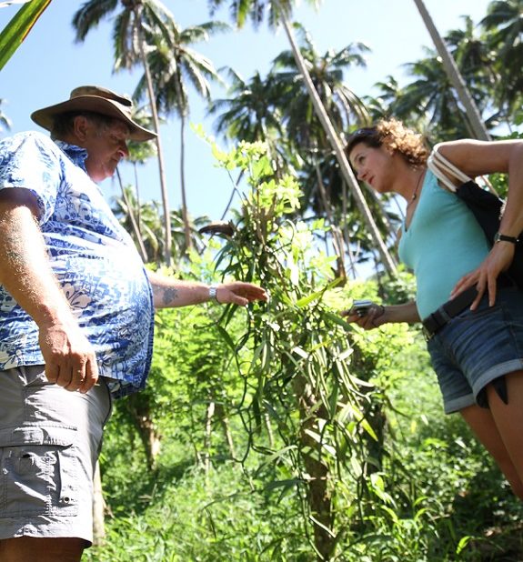 Plantation de Vanille