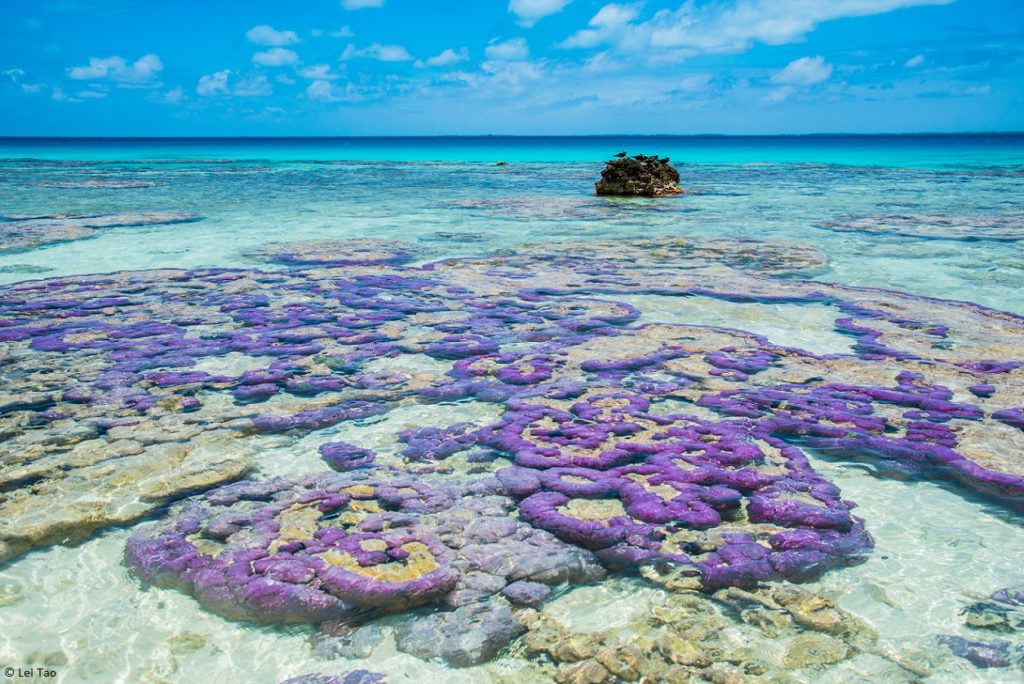 Indalo_Polynesie_Guide_Tikehau-corail