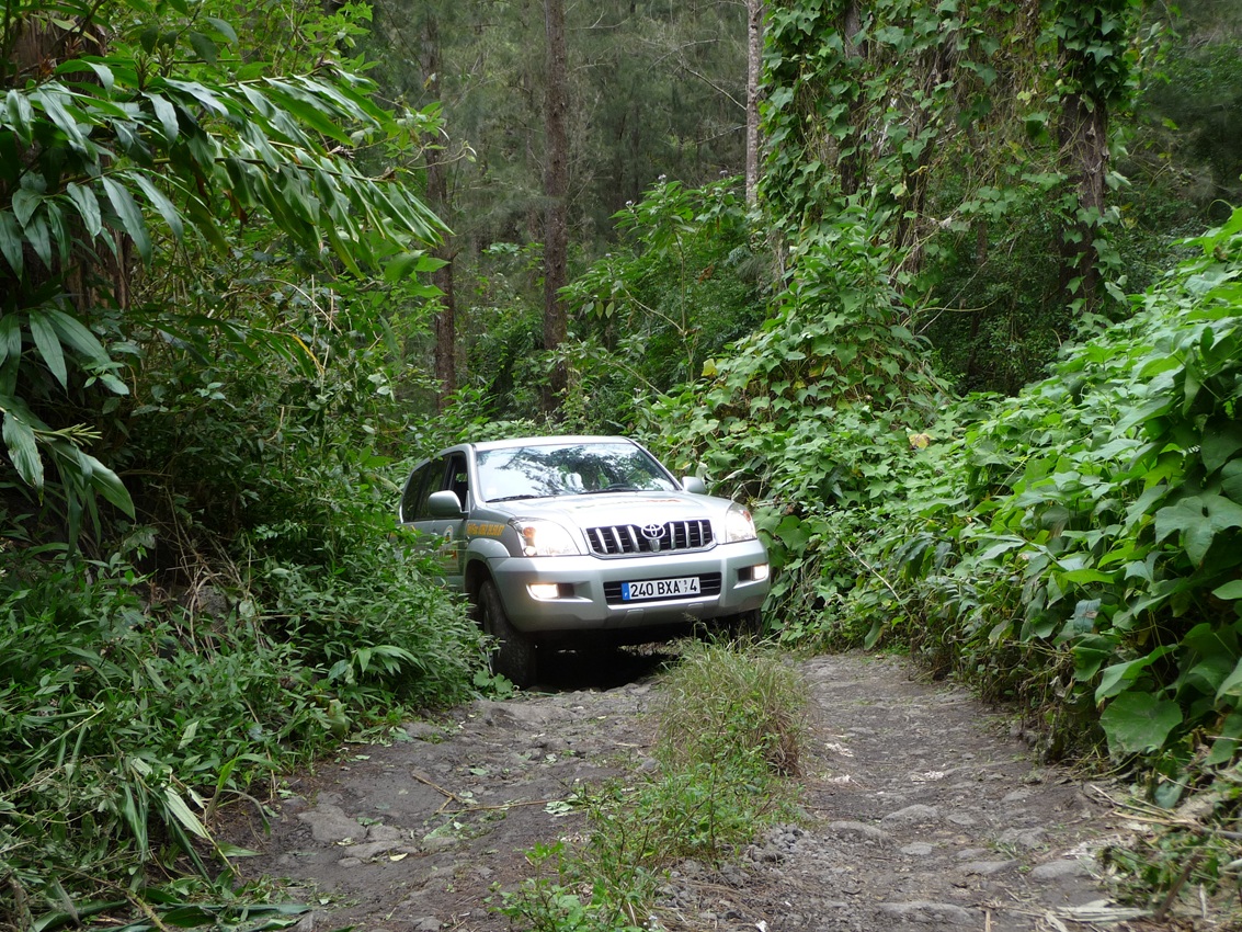 Indalo_Reunion_Activite-4x49