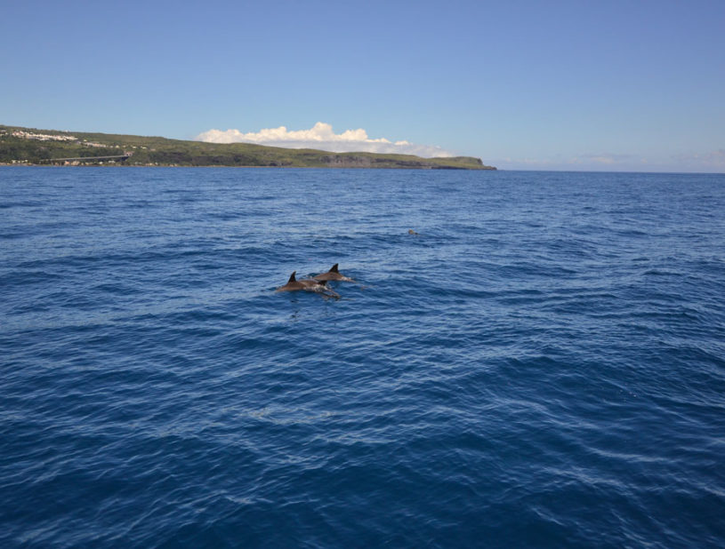 Indalo_Reunion_CATAMARAN_2-815x618