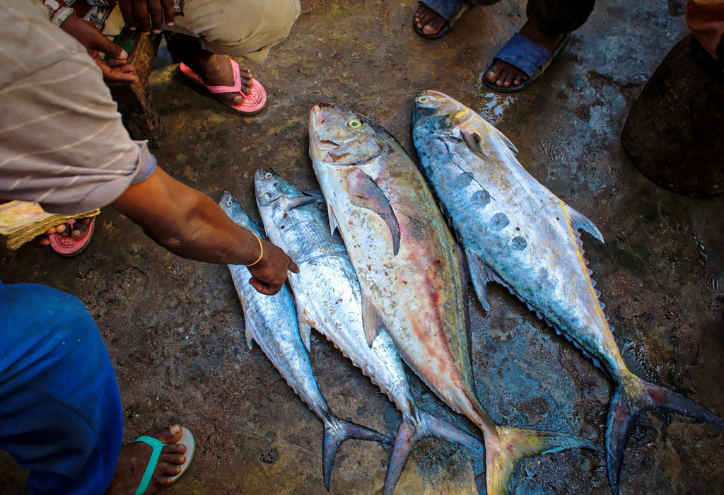 Indalo_Reunion_Peche_Gros_4