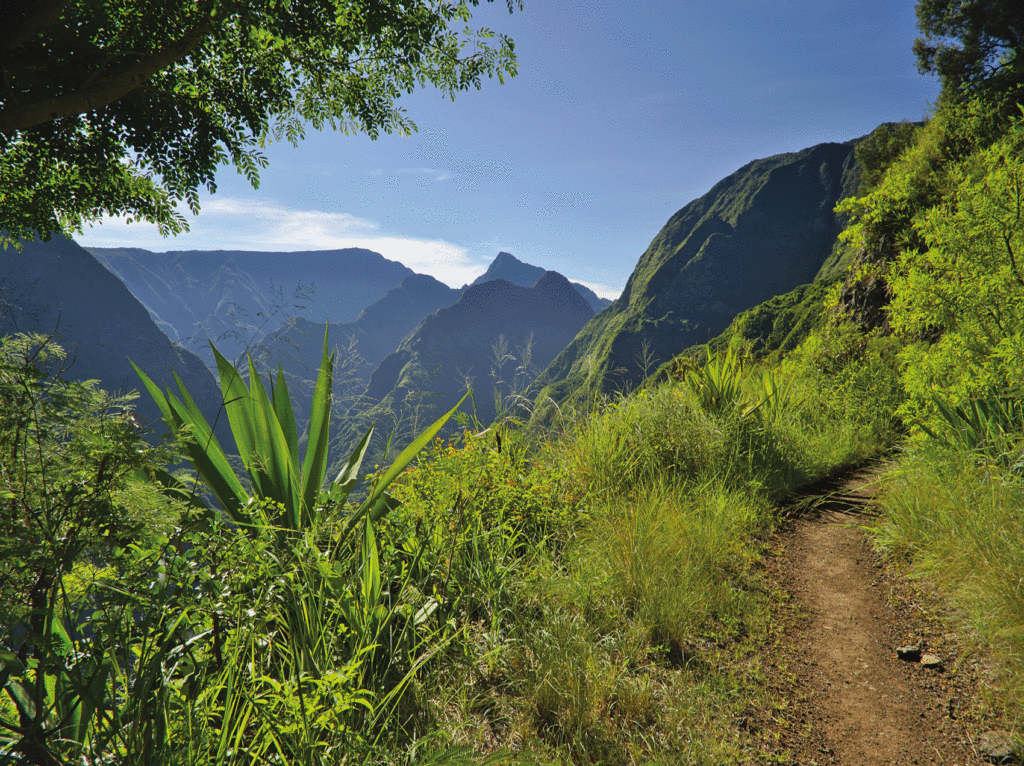 Indalo_Reunion_Randonnees_Gite_Gite_TopPage2