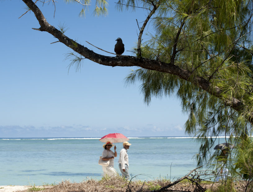 Ile aux Cocos
